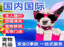 凤凰机场快运国际宠物托运 【国